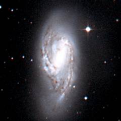 M66