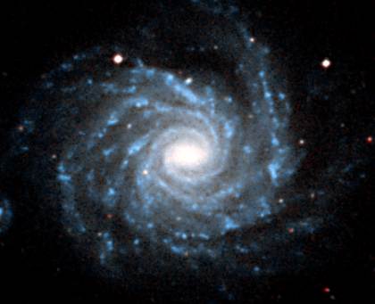 NGC 1232