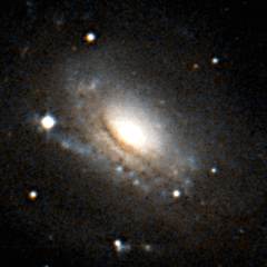 NGC 3169